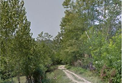 Teren vanzare sat Sultanu, comuna Visinesti, jud. Dambovita - 3