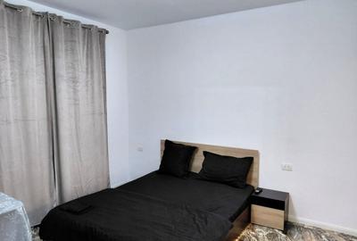 Apartament cu 2 camere semidecomandat în Nord-Vest - 9