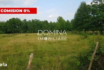 Teren de 6843 mp, în Polovragi - 7