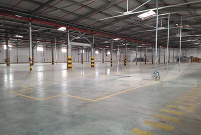 Hala moderna, 10.766 mp, zona Turda-Campia Turzii - 8