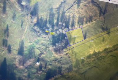 Teren de 1600 mp, în Cacica - 2