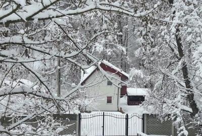 Casă individuală cu 3 camere cu Teren 1500 Mp în Cerbăl - 11