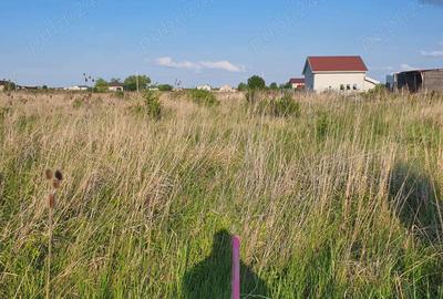 Teren de 760 mp, în Săcălaz - 3
