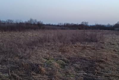 Spațiu comercial, în Merișor - 4