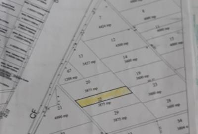 Casă cu 1 camere în Techirghiol - 2