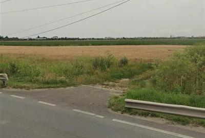 TEREN INTRAVILAN INVESTITIE 20.500 MP ARAD - 4