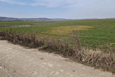 Teren în Șimnicu de Sus