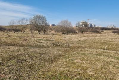 Teren agricol extravilan de 1000 mp, în Șelimbăr - 14