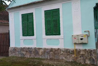 Casă cu 3 camere cu Teren 913 Mp în Daneș - 1