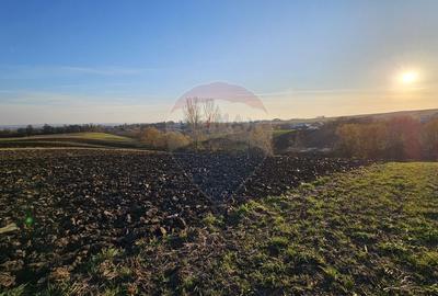 Teren agricol extravilan de 6100 mp, în Stroiești - 10
