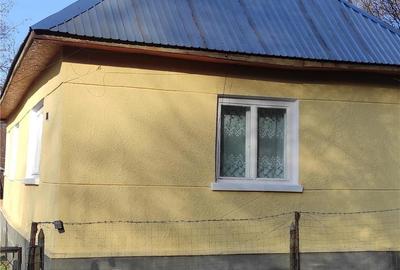 Casă cu 2 camere în Băița - 3