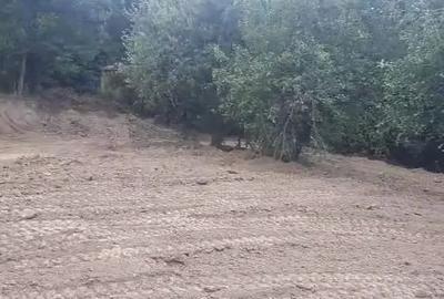 Teren de 2000 mp, în Central - 5
