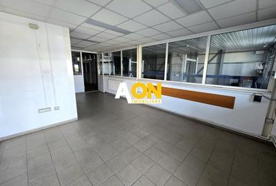 Spațiu industrial, de 560 mp, în Ampoi 1 - 11