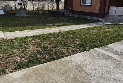 Casă cu 6 camere cu Teren 3160 Mp în Central - 4