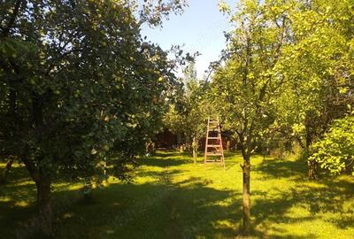 Teren Construcții intravilan de 1400 mp, în Micești - 2