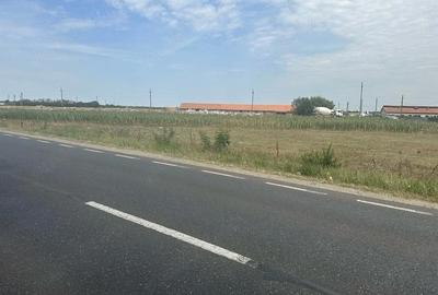 Teren de 2000 mp, în Măldăeni - 2