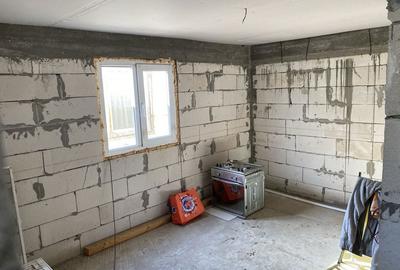 Casă cu 3 camere în Dridu - 1