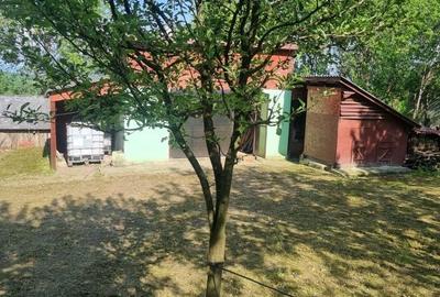 Casă cu 2 camere în Jichișu de Sus