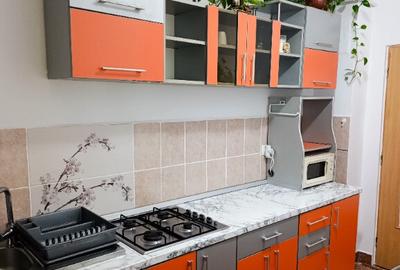 PF inchiriez apartament 1 camera - 8