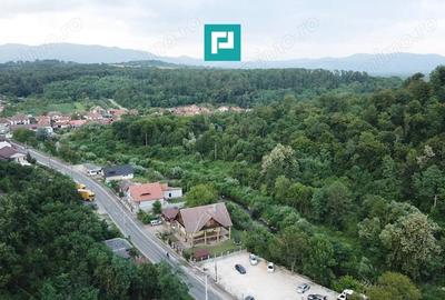 Teren Intravilan, in ora?ul Sebi?, Arad - 7