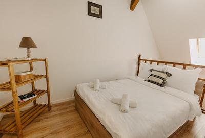 Apartament 3 camere elegant - Centrul Vechi Timisoara - Comision 0 - 9