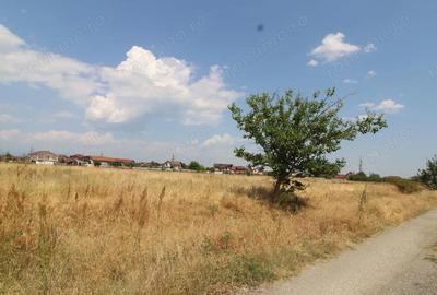 Teren de 600 mp, în Central