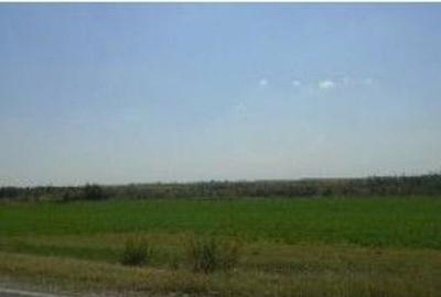 Teren cota parte 1/6, Branistea, ID: R2757177 - 8