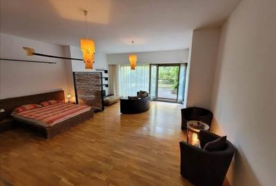 Apartament tip studio Drumul Poienii-Belleveu, Brasov - 11