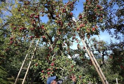 Spațiu comercial, în Cândești - 3