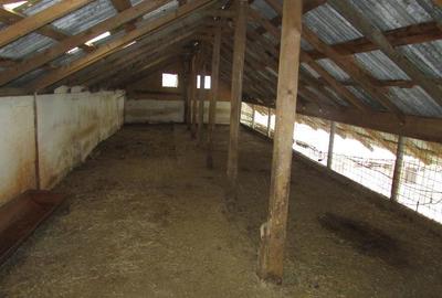 Casă cu 3 camere cu Teren 2900 Mp în Vețel - 11