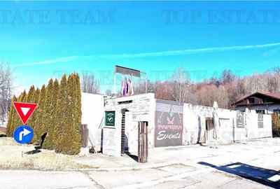 Afacere la cheie cu profit din prima zi, 2 pensiuni 27 camer - 1