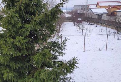 2 Case in oglinda - 1