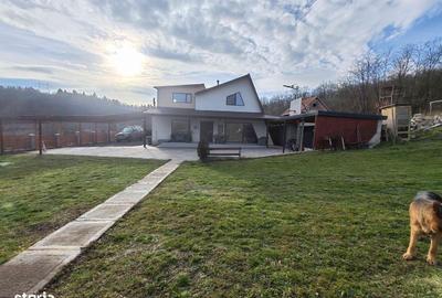 Casă cu 5 camere cu Teren 3700 Mp în Șoimuș - 7