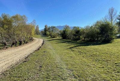Teren intravilan zona Bran-Tohanita, judetul Brasov intre 500 si 1000 mp la 5 km de Moieciu - 9