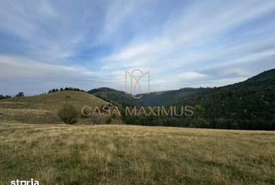Teren de 14526 mp, în Gura Râului - 5