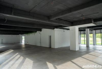 Spațiu comercial, de 79 mp, în Lipovei - 3