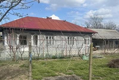 Casă cu 5 camere cu Teren 1311 Mp în Unirea - 9