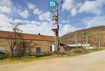 Fabrica de prelucrare a lemnului ?i palului - 14