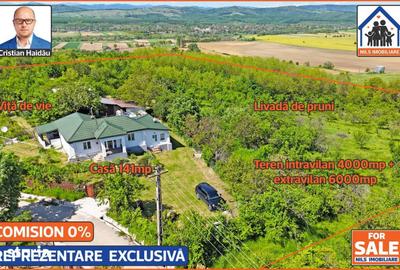 Casă cu 4 camere cu Teren 10000 Mp în Bălțești - 11