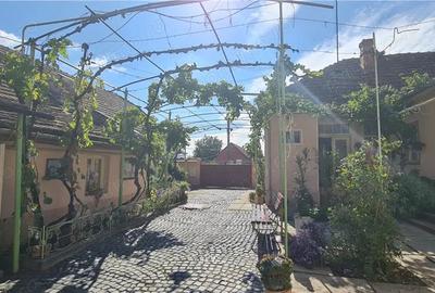 Casa de inchiriat pe calea Radnei - strada principala - 3