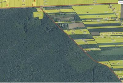 `Teren cu dubla deschidere, langa padure, Snagov - Strada Parcului - 2