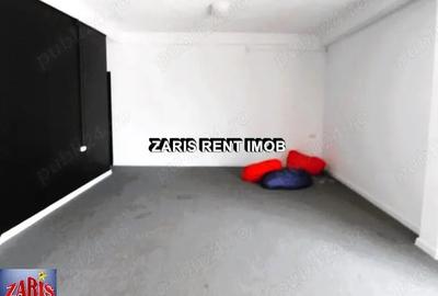 Inchiriere spatii comerciale in Cocorastii Colt, jud. Prahova - 3