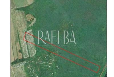 Teren 7974mp | Sangov | Iesire lac 25m | 100euro/mp - 3