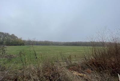 Teren Construcții intravilan de 9400 mp, în Tunari - 4