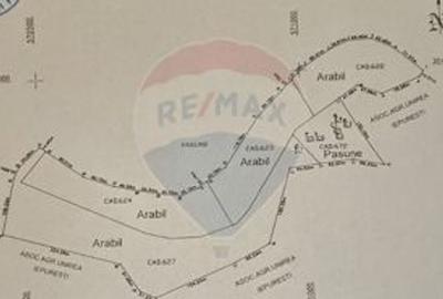 Teren extravilan de 129700 mp, în Iepurești - 14