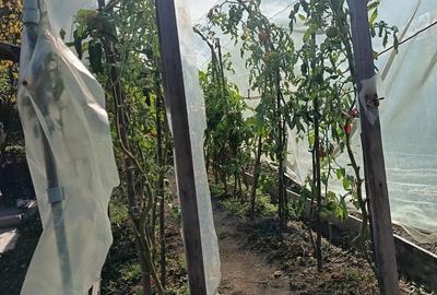 Casă cu 5 camere în Goranu - 3