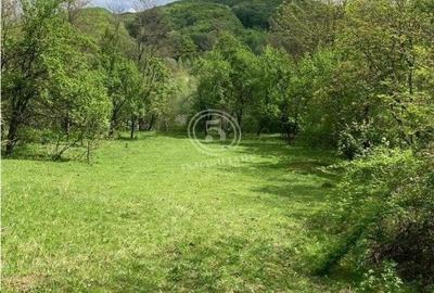 Izvoarele Valea Borului- Teren Intravilan de Vanzare- Comision 0% - 5