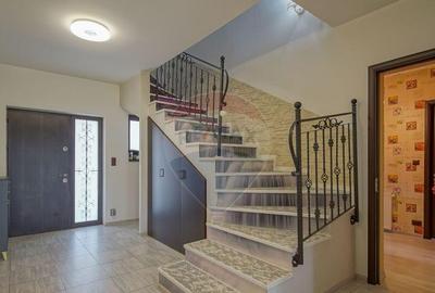 Casă cu 7 camere cu Teren 1093 Mp în Cărpiniș - 14