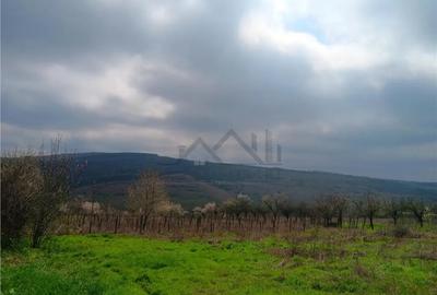 Teren în Dorobanț - 1