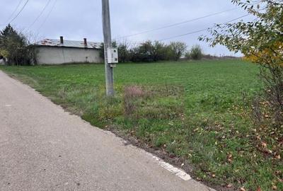 Teren de 5000 mp, în Comana - 2